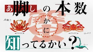 TV CM「脚の本数」篇